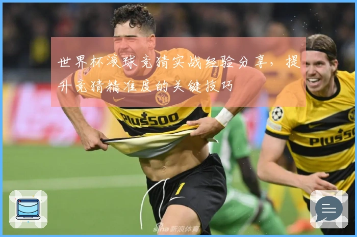 世界杯滚球竞猜实战经验分享，提升竞猜精准度的关键技巧