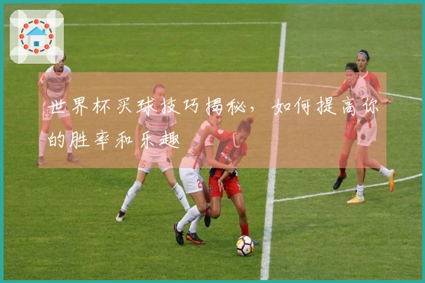 世界杯买球技巧揭秘，如何提高你的胜率和乐趣