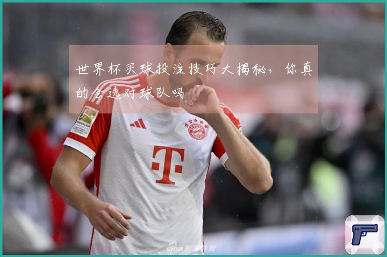 世界杯买球投注技巧大揭秘，你真的会选对球队吗