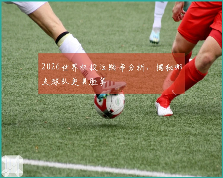 2026世界杯投注赔率分析，揭秘哪支球队更具胜算