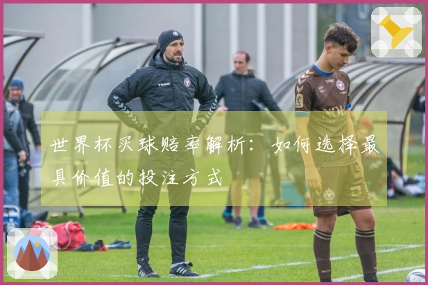 世界杯买球赔率解析：如何选择最具价值的投注方式