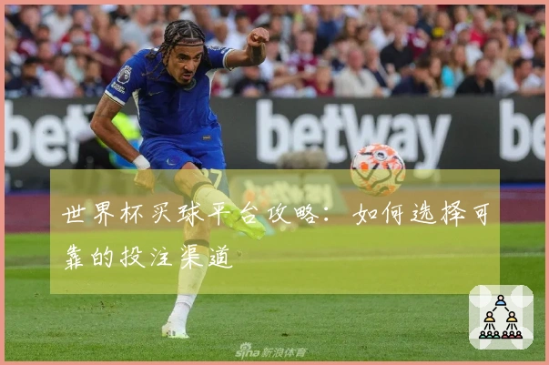 世界杯买球平台攻略：如何选择可靠的投注渠道