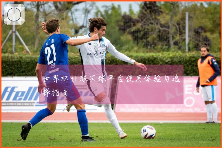 世界杯让球买球平台使用体验与选择指南