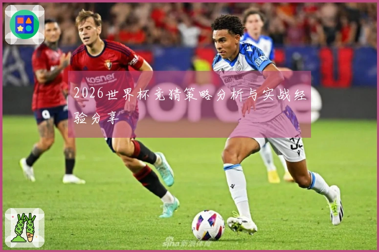 2026世界杯竞猜策略分析与实战经验分享