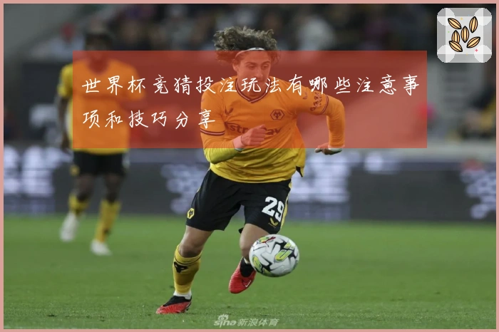 世界杯竞猜投注玩法有哪些注意事项和技巧分享