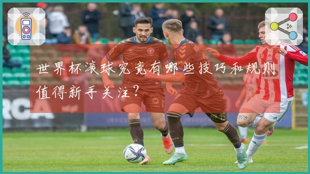 世界杯滚球究竟有哪些技巧和规则值得新手关注？