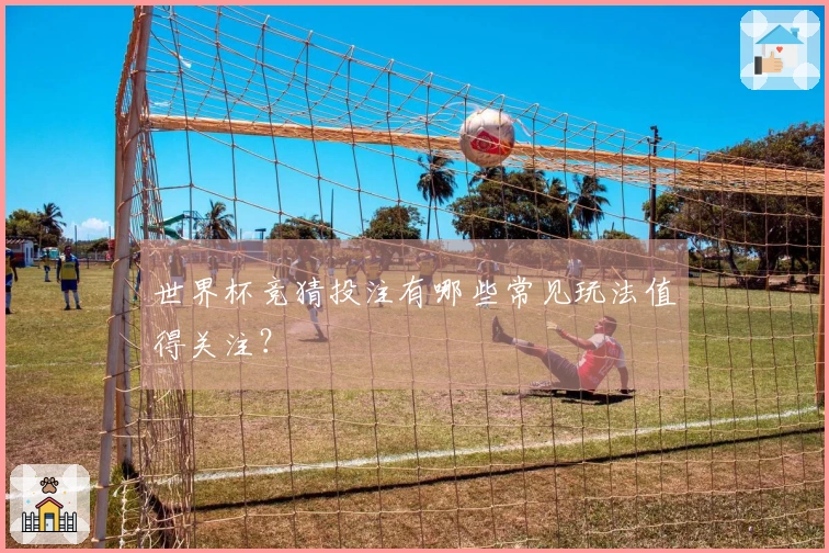 世界杯竞猜投注有哪些常见玩法值得关注？