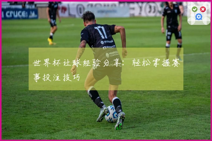 世界杯让球经验分享：轻松掌握赛事投注技巧